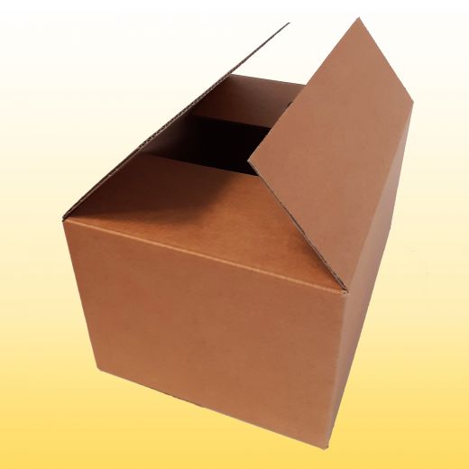 125 Karton 32,5 cm x 23 cm x 18 cm (LxBxH)